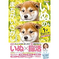 芝犬です。 1627629602128.jpg